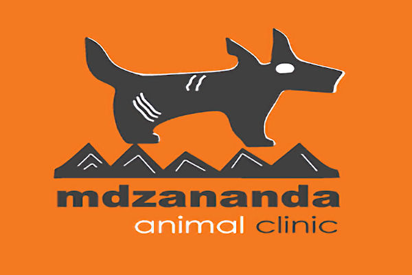 Mdzananda Animal Clinic Khayelitsha, truck crash Cape Town, damaged surgical theatre, Khayelitsha vet clinic, Cape Town animal welfare, Joburg ETC