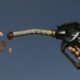 petrol price October 2025 South Africa, diesel decrease October 2025, fuel pump price Johannesburg, rand strength oil impact, petrol increase South Africa, paraffin price October, LPG gas drop, Joburg ETC