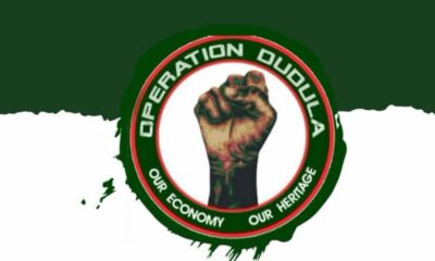 Operation Dudula members outside Soweto schools, warning letters delivered, Gauteng education department responds, protests over foreign learners, Zandile Dabula campaign, Gauteng schools controversy, EFF reaction, police investigation, public backlash, Joburg ETC