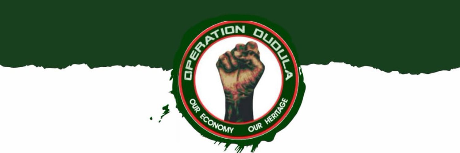 Operation Dudula members outside Soweto schools, warning letters delivered, Gauteng education department responds, protests over foreign learners, Zandile Dabula campaign, Gauteng schools controversy, EFF reaction, police investigation, public backlash, Joburg ETC
