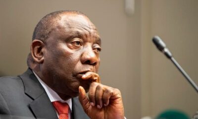 ANC introspection