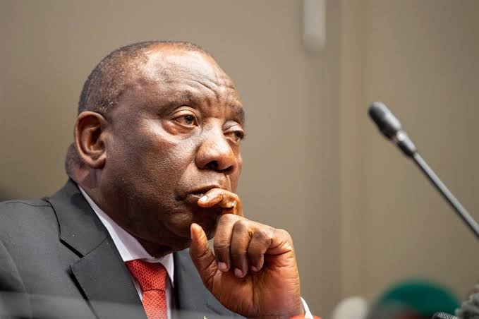 ANC introspection