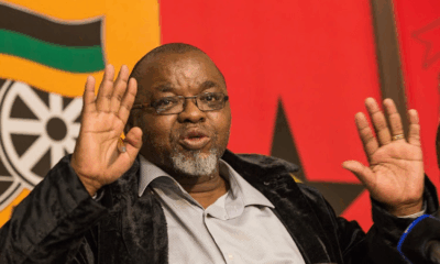 Gwede Mantashe SACP removal