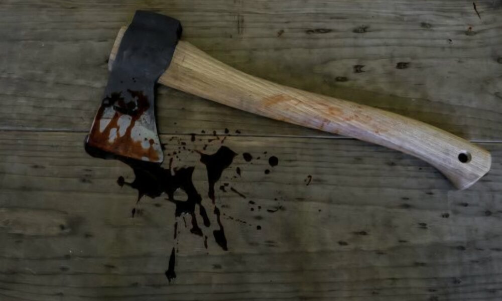 Limpopo axe murder