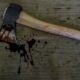 Limpopo axe murder