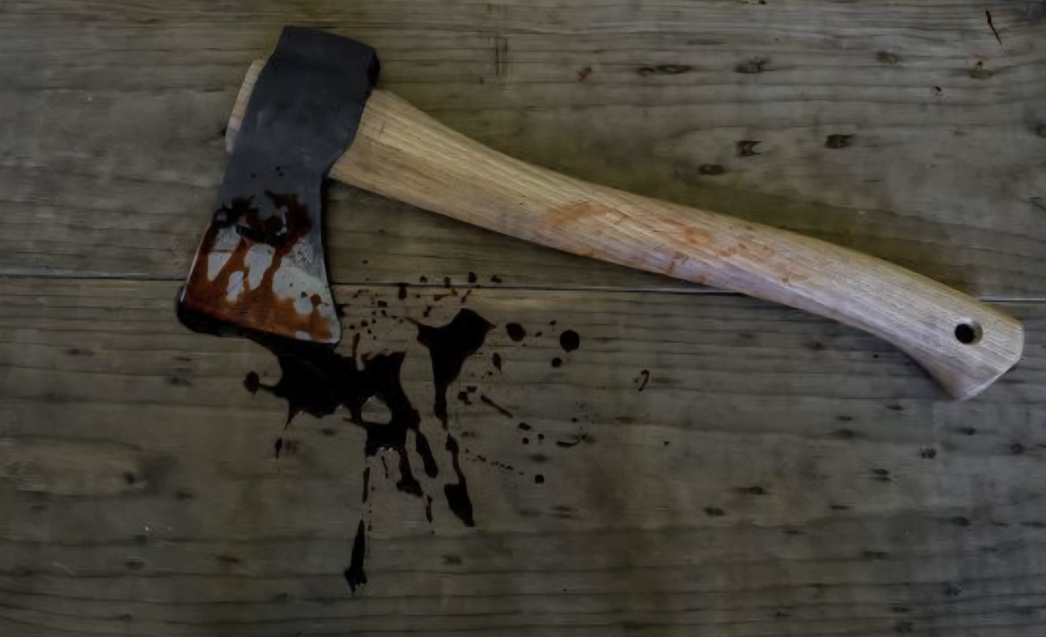 Limpopo axe murder