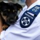 NSPCA inspector fraud Cape Town, fake SPCA inspector arrested, Cape of Good Hope SPCA news, animal welfare South Africa, Cape Town court case September 2025, Joburg ETC