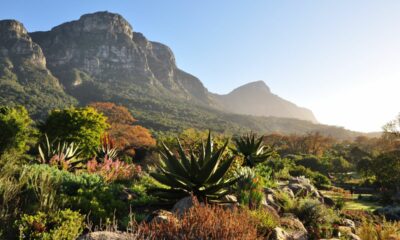 SANBI Botanical Gardens Tourism Month
