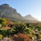 SANBI Botanical Gardens Tourism Month