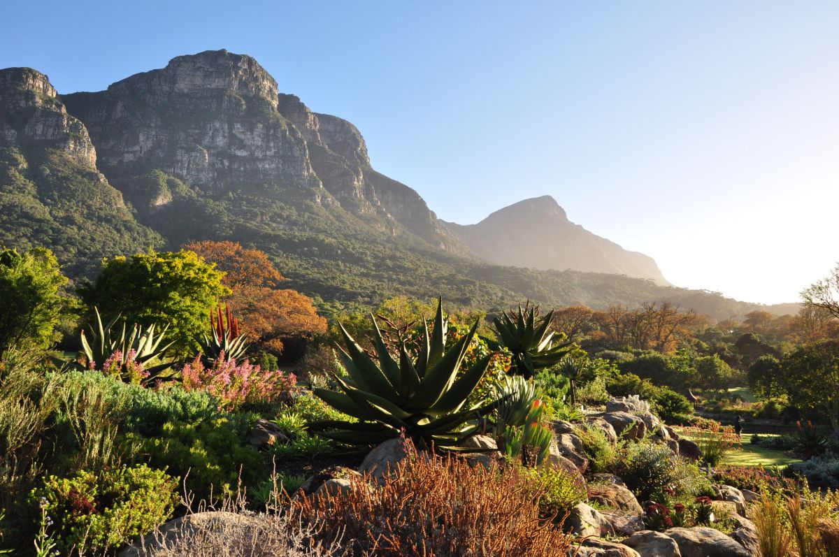 SANBI Botanical Gardens Tourism Month