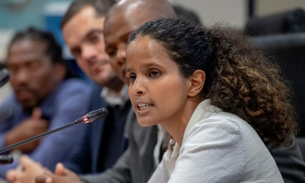 Xanthea Limberg, JP Smith, Western Cape High Court ruling, unlawful police raids, tender fraud allegations, Geordin Hill-Lewis, City of Cape Town, Joburg ETC