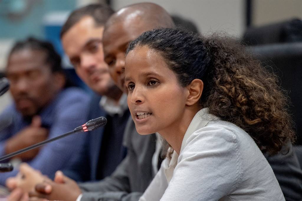 Xanthea Limberg, JP Smith, Western Cape High Court ruling, unlawful police raids, tender fraud allegations, Geordin Hill-Lewis, City of Cape Town, Joburg ETC