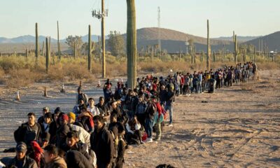 illegal immigration policy