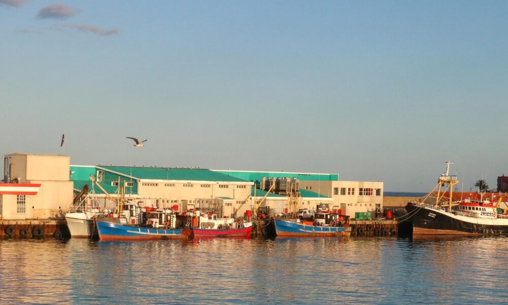 South Africa fisheries, US seafood market, sustainable fishing, bycatch compliance, South Africa seafood exports, marine conservation trade, Joburg ETC