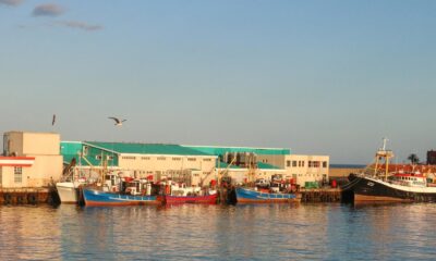 South Africa fisheries, US seafood market, sustainable fishing, bycatch compliance, South Africa seafood exports, marine conservation trade, Joburg ETC