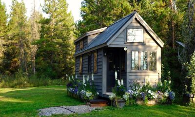backyard dwellings Johannesburg, affordable rental housing, housing crisis South Africa, informal housing 2025, Joburg ETC