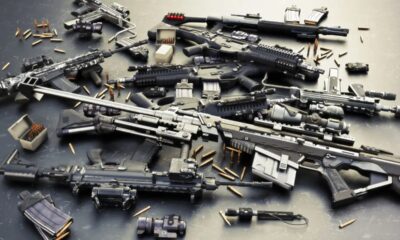 gun control bill South Africa 2025, self defence firearms licence removal, ammunition restriction proposals, hunters licence limits, Joburg ETC