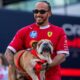 Lewis Hamilton dog Roscoe, Roscoe Hamilton bulldog, Formula One paddock dog, Hamilton Instagram tribute, Roscoe pneumonia battle, F1 fans tributes Roscoe, Ferrari driver Hamilton with dog, Roscoe Hamilton death, beloved pet loss celebrity, Joburg ETC