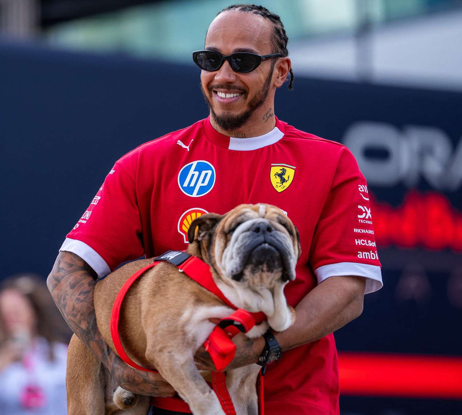 Lewis Hamilton dog Roscoe, Roscoe Hamilton bulldog, Formula One paddock dog, Hamilton Instagram tribute, Roscoe pneumonia battle, F1 fans tributes Roscoe, Ferrari driver Hamilton with dog, Roscoe Hamilton death, beloved pet loss celebrity, Joburg ETC