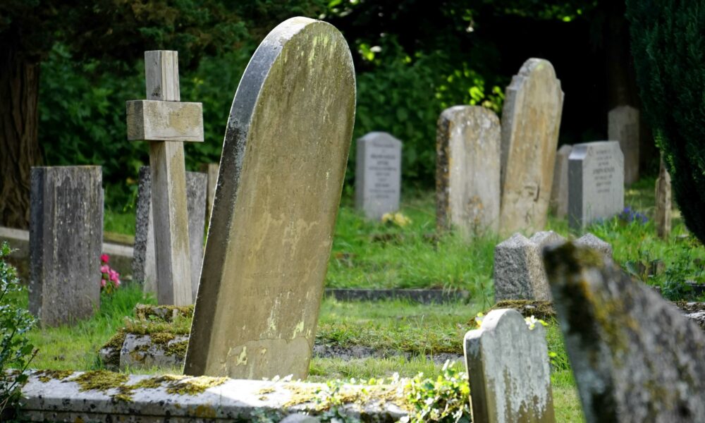grave robber Vanderbijlpark