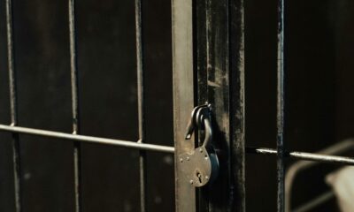 Pretoria Kidnapping Arrest