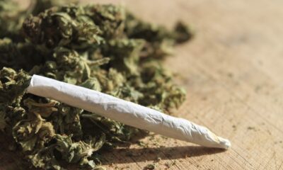 Hawks raid Camperdown farm, R30m dagga bust KZN, cannabis plants seized, Hawks seize firearms, Camperdown drug raid, Joburg ETC