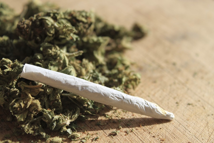 Hawks raid Camperdown farm, R30m dagga bust KZN, cannabis plants seized, Hawks seize firearms, Camperdown drug raid, Joburg ETC