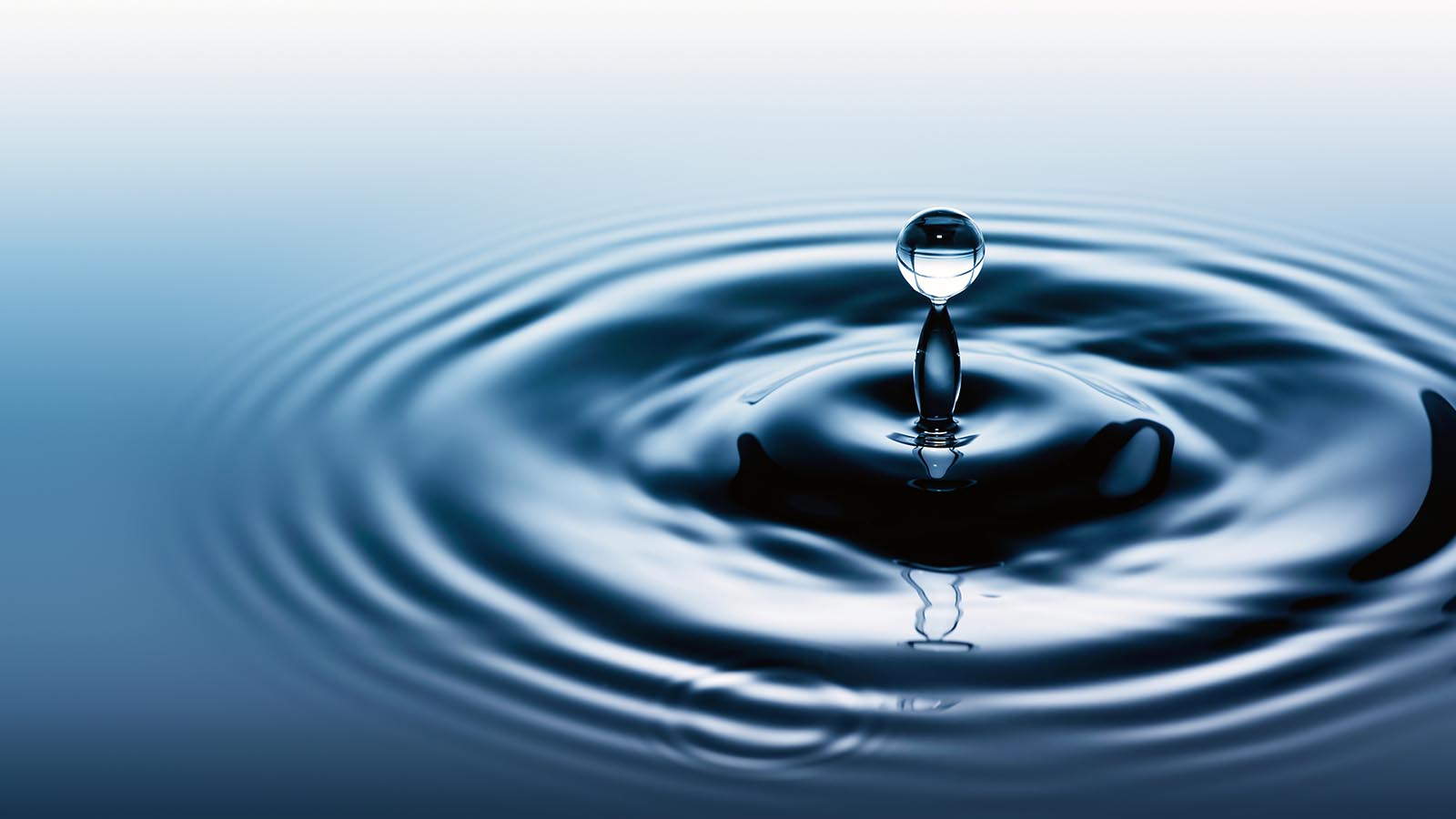 Minister Pemmy Majodina water plan, Johannesburg buys water tankers, DA backs water tanker idea, asbestos pipes cause leaks in Joburg, Nico de Jager warns infrastructure crisis, Hawks recover R23m water funds, Joburg water shortages 2025, Joburg ETC