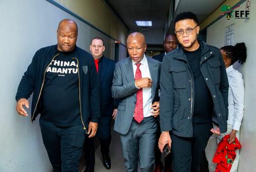 Vivid Malema Admits Knowing Nxumalo, Slams Tender Claims As Hearsay View Illustration Vivid Malema Admits Knowing Nxumalo, Slams Tender Claims As Hearsay View Illustration