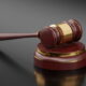 Gauteng ghost employee fraud sentencing, Johannesburg Commercial Crimes Court, Matome Chiloane anti corruption, Steve Mabona education fraud, Palm Ridge court case Gauteng, ghost employee scam South Africa, Joburg ETC