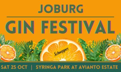 Schweppes Joburg Gin Festival, Avianto Estate Muldersdrift, South African craft gin, gin tasting Johannesburg, mixology class Joburg, sip and paint event, outdoor music festival, Joburg ETC