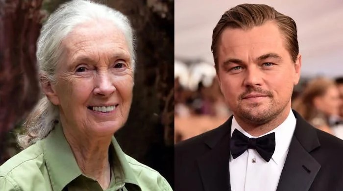 Jane Goodall tributes, Leonardo DiCaprio honours Jane Goodall, Jane Goodall legacy, Jane Fonda tribute Jane Goodall, Michael Douglas Jane Goodall, Maria Shriver honours Jane Goodall, Ellen DeGeneres Jane Goodall, Joburg ETC