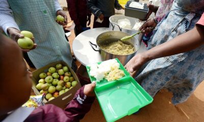 Gauteng school nutrition delays, pupils face hunger Gauteng, Gauteng Department of Education school meals, DA warns over school feeding crisis, Quintile 4 and 5 schools Gauteng, Joburg ETC