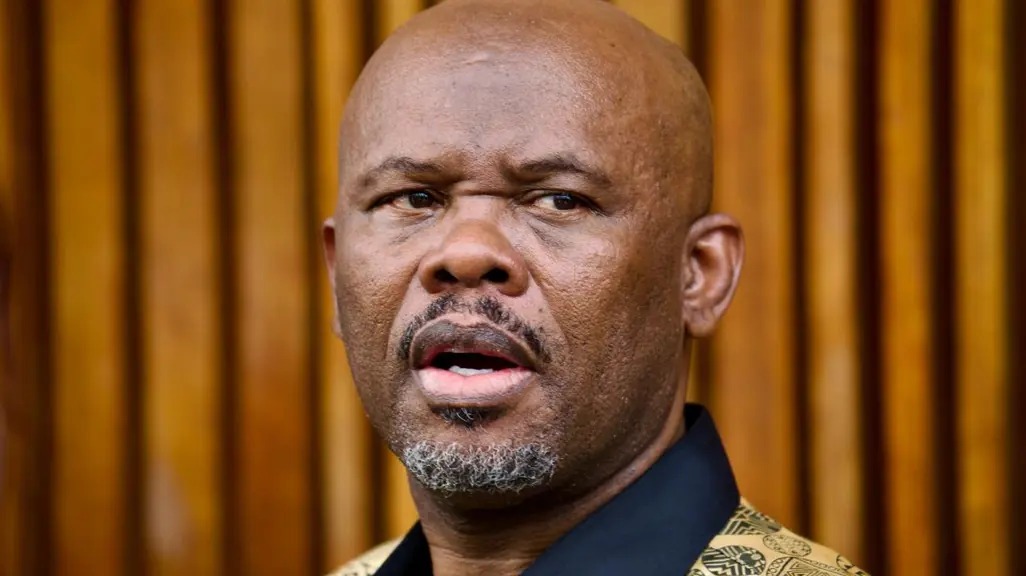Shadrack Sibiya, Mdluli investigation, SAPS hearing, Crime Intelligence corruption, Parliament testimony, political interference police, Joburg ETC