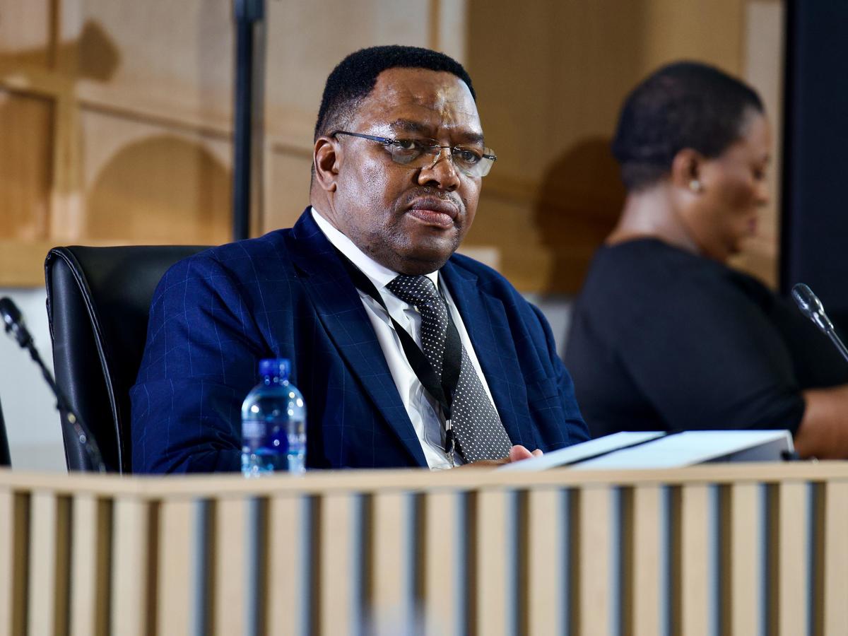 General Masemola policing challenges, SAPS National Commissioner, South African Police Service inquiry, Parliament hearing South Africa, Crime Intelligence reform, Isaac Sileku SAPS leadership, Joburg ETC