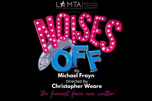 A lively theatre performance of Noises Off in Johannesburg, actors on stage at Montecasino, comedic farce with sardines and slamming doors, South African theatre students in full costume, LAMTA production directed by Chris Weare, audience enjoying slapstick chaos, Joburg ETC