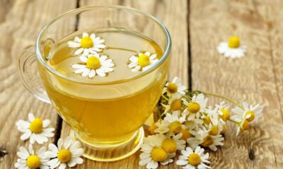 chamomile tea, exam care pack, South African students, viral debate, study tips, student wellness, tea benefits, Joburg ETC