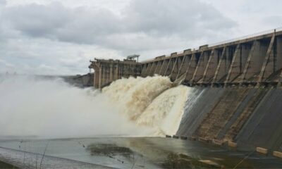 Things to do in Cape Town with kids: Mojo Market