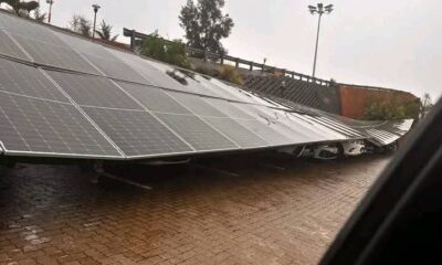 Sweet Nothings party scene