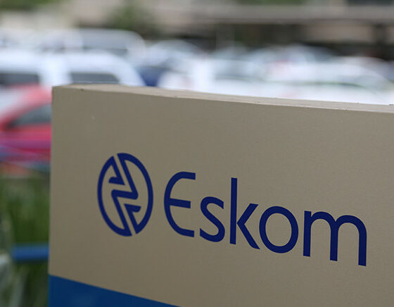 Eskom infrastructure spending, South African public projects 2025, Medupi power station, Kusile construction, Stats SA report, national infrastructure investment, Eskom capital expansion, Joburg ETC