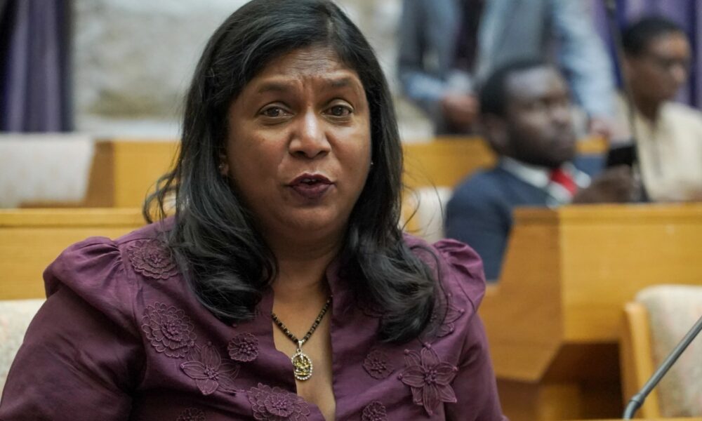 Andrea Johnson IDAC, Big Five syndicate inquiry, SAPS corruption hearings, South African justice system, Parliament testimony, law enforcement probe, political interference case, Joburg ETC