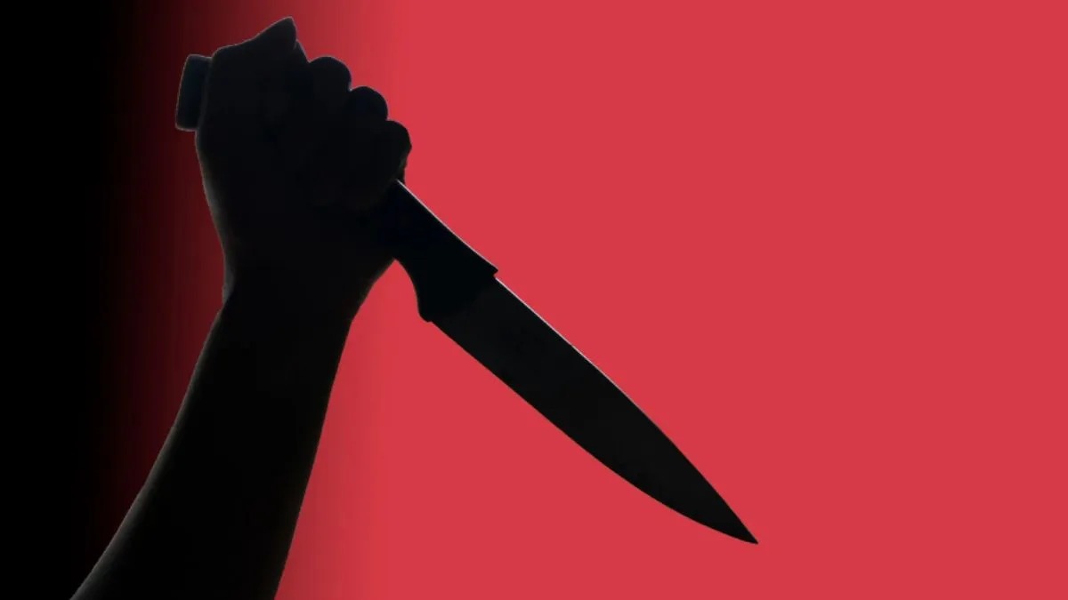 insurance murder South Africa, Free State brothers sentenced, disabled uncle murder case, funeral policy crime, Winburg Regional Court case, Joburg ETC