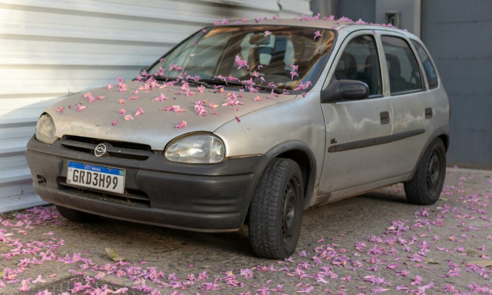 Leentjie Visser from One Heart Foundation