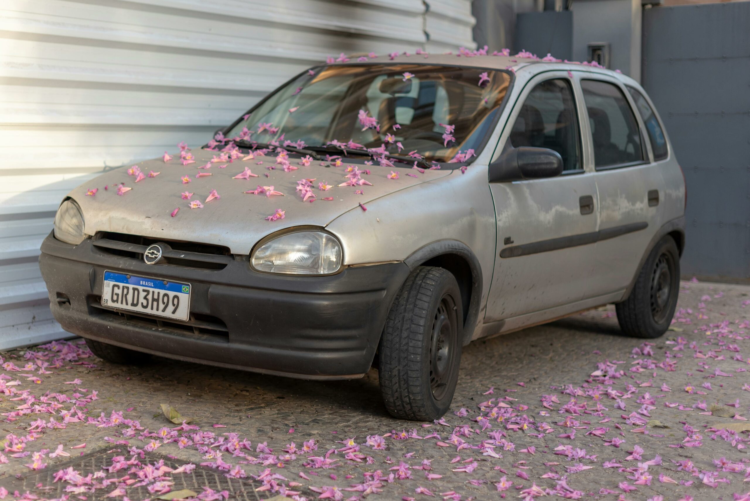 Leentjie Visser from One Heart Foundation