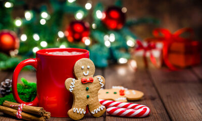 Circus Galassia Zaylon, Sandton High School circus, festive circus Johannesburg, Nelson Mandela Square marquee, Celebrations on the Square Sandton, Mall of Africa mini golf, Zootropolis 2 mini golf, Fourways Mall Santa Land, Jingle Bell Academy, Sterkfontein Caves tour, Johannesburg Zoo Festival of Lights, Wits Digital Dome Cosmic Collisions, The Nutcracker Montecasino, Joburg Theatre Pinocchio, Peoples Theatre Madagascar, Joburg ETC