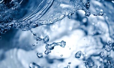 Joburg household water saving, rainwater harvesting tank, greywater reuse garden, drought resistant landscaping Johannesburg, low flow shower installation, water restrictions South Africa 2025, Joburg Water leak detection, suburban water wise garden Joburg ETC