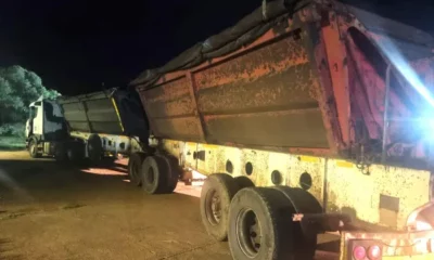 Amina Cachalia Women's Day