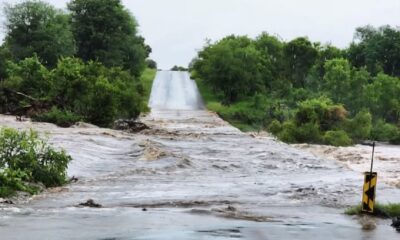 Kruger National Park flooding, rising rivers Kruger, Crocodile River flood, Sabie River levels, SANParks safety update, Joburg ETC