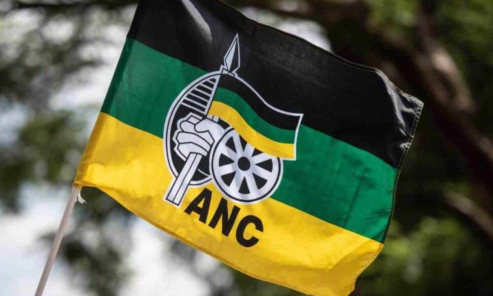 cape town mayor patricia de lille