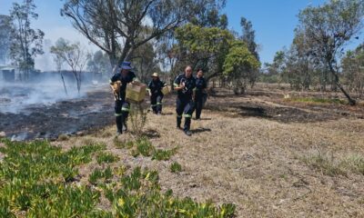 animal rescue wildfires, NSPCA disaster response, Western Cape fires, Eastern Cape fires, rescued dogs cats cattle, wildlife rescue South Africa, farm animal emergencies, Joburg ETC